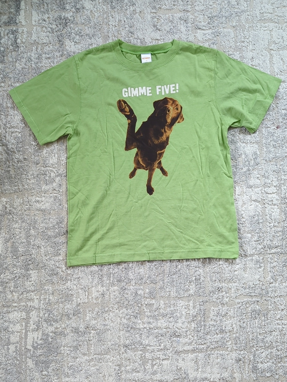 NWT Gymboree Gimme Five! Dog Graphic Tee Size 12